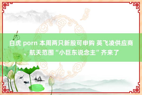 白虎 porn 本周两只新股可申购 英飞凌供应商、航天范围“小巨东说念主”齐来了