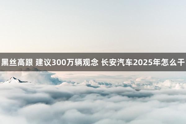 黑丝高跟 建议300万辆观念 长安汽车2025年怎么干