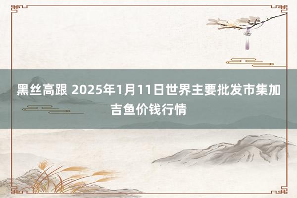 黑丝高跟 2025年1月11日世界主要批发市集加吉鱼价钱行情